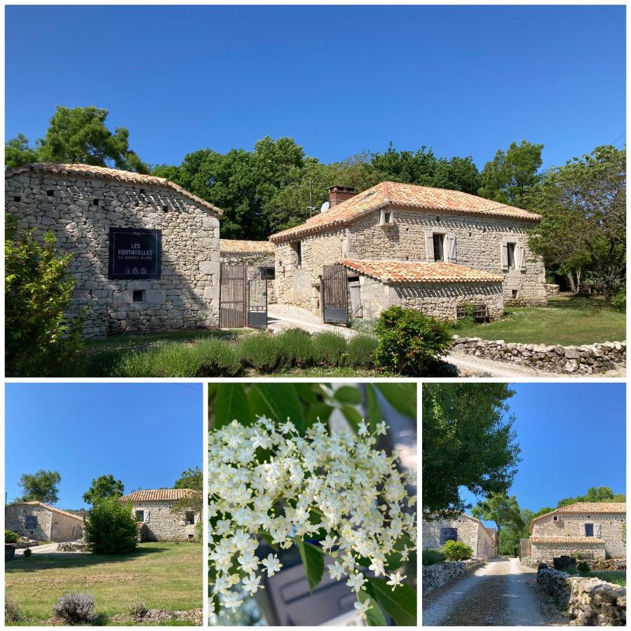 Villa Les Fontanelles Du Quercy Blanc Montcuq Exterior foto